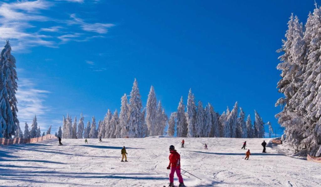 Apartman Lipenka Cerna v Posumavi Bagian luar foto